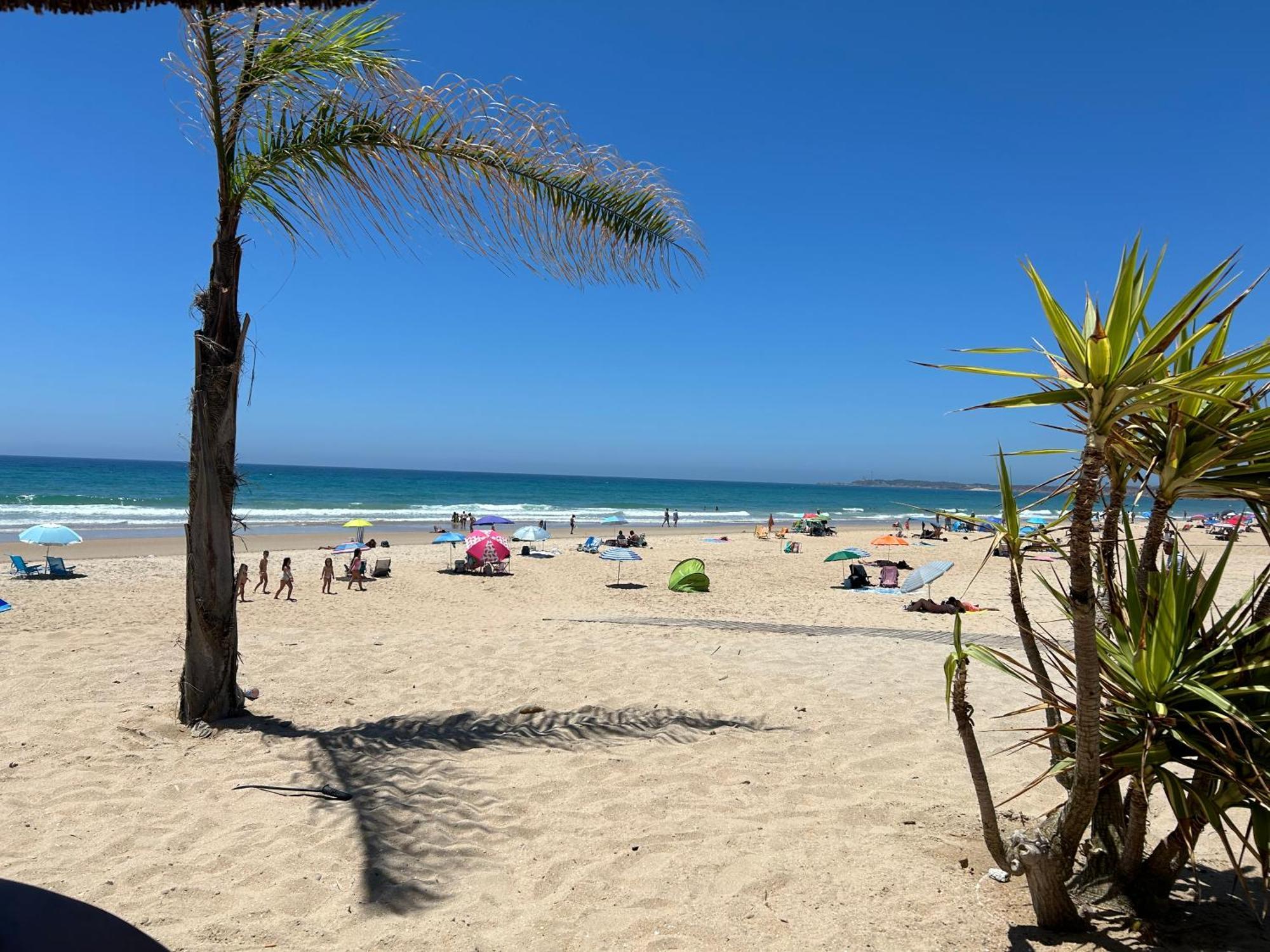 Antonio Fernandez Playa *
